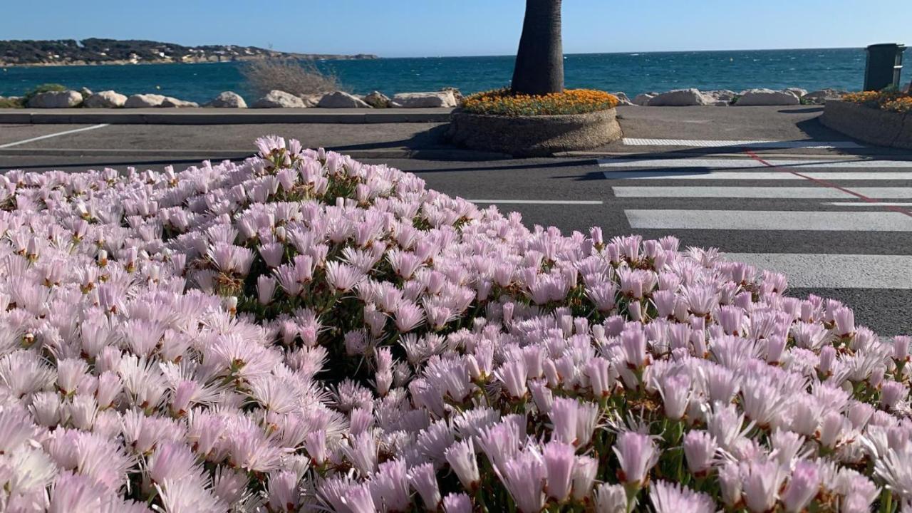 Les Appartements De La Marina Sanary-sur-Mer Εξωτερικό φωτογραφία